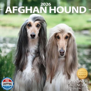 2026 Wall Calendar Afghan hound Planner Calendar, Hangable Monthly Wall Calen - Picture 1 of 5