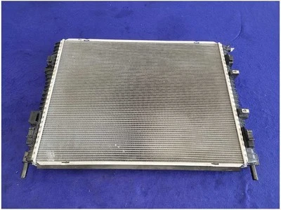 2015-2023 Ford Mustang GT S550 Radiator Front Engine Cooling fr33-8005-cg FH - Image 1 of 4