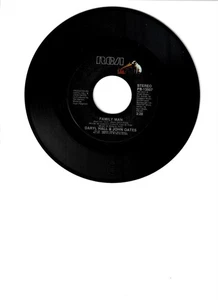 1983 FAMILY MAN - DARYL HALL & JOHN OATES - Imagen 1 de 1