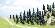 N 35 Pine Trees