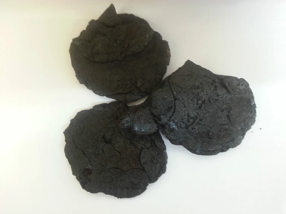 EKONG Radix Rehmanniae glutinosae SHENG DI HUANG dry herb 80 gram UK SELLERS