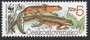Czechoslovakia 2751, MNH. Michel 3010. WWF 1989. Newt Triturus montandoni. - Picture 1 of 1
