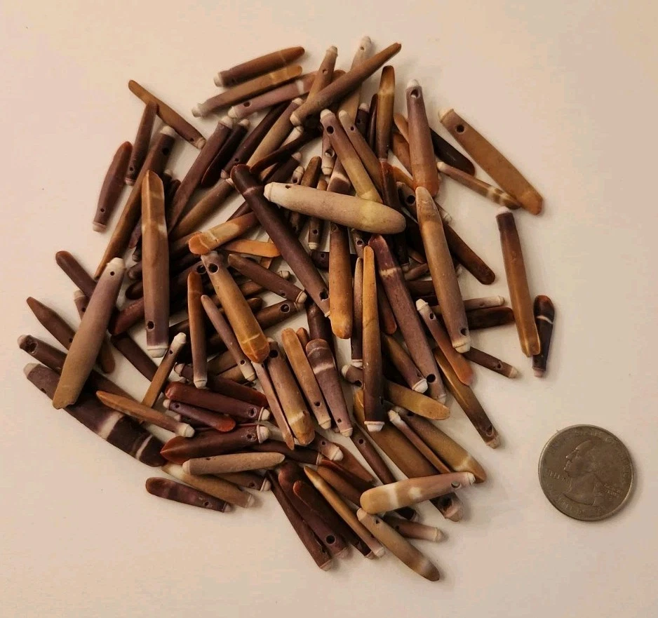 Натуральный морской еж шипы просверленный лот 45 г различные размеры - Изображение 1 из 1