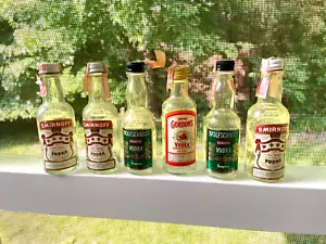 6 Vintage Wodka 1/10 PT MINIFLASCHEN GORDONS SMIRNOFF WOLFSCHMIDT GLASFLASCHEN STEUER - Bild 1 von 4
