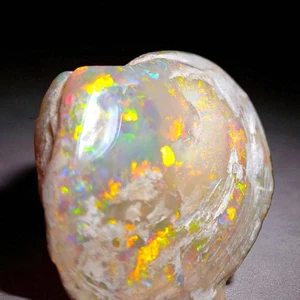 Rare Australian Opal Fossil Collectors Ornament Specimen 72.1ct 14g - Picture 1 of 6