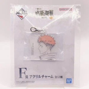 Yuji Itadori Jujutsu Kaisen Ichibankuji Acryl Charm Japan Anime Bandai Neu Kostenloser Versand - Bild 1 von 9