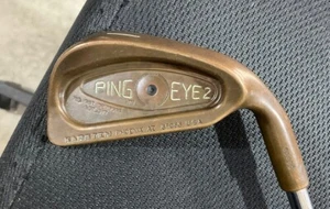 Ping EYE2 RH Beryllium Copper Individual 1 Iron Black Dot Steel Shaft 37.5 - Picture 1 of 8