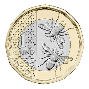 RARE NIFC NEW RELEASE 2025 KING CHARLES III BUNC BEES £1 ONE POUND COIN. - Picture 1 of 15