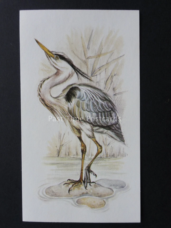 No.5 GREY HERON British Birds GRANDEE T32 Issued by Player 1980 - Image 1 of 1