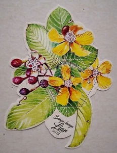 Malaysia Miniature Sheet (09.07.2020) - Wild Flowers Series III - Picture 1 of 2