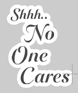 Shhh.. No One Cares Vinyl Decal Sticker - Phone, Water Bottle, Notebook, Laptop - Picture 1 of 7