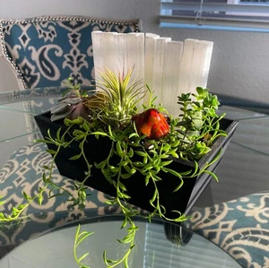 Black Crystal Garden - Indoor plants and succulents pot with Selenite Crystals - Picture 1 of 4
