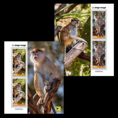 Patas Monkey MNH Stamps 2024 Central African 2 M/S - Image 1 of 3