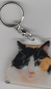  CAT K.FOBS / CHAT  PORTE CLES