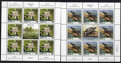 2185 - SERBIA 2024 - EUROPE - Underwater Fauna and Flora -Turtle- MNH Mini Sheet - Image 1 of 2