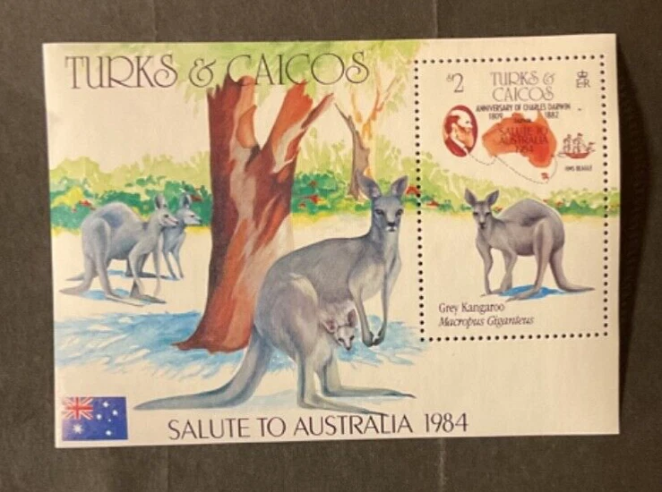 Estampillas de las Islas Turcas y Caicos Scott #644 nunca articuladas Foto 1 de 1