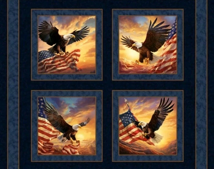 MDG - Patriotic - Soaring Sunrise Quilting Fabric Pillow Panel With Eagle 🦅