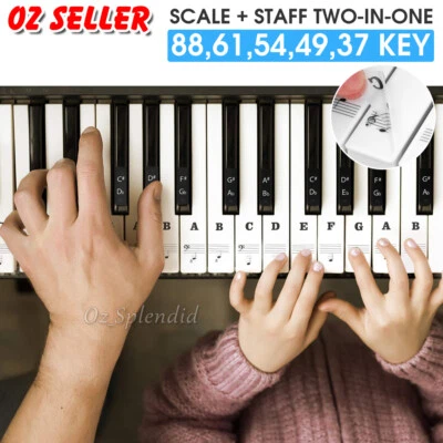 5 in 1 Universal Piano learner Sticker 54/61/88Key Note Music Keyboard Stickers - image 1 of 4