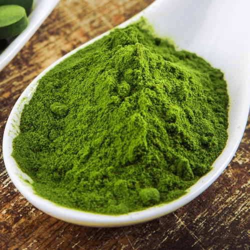 1kg reines Gerstengras Pulver - 100% Gerstengras Premiumqualität - Bild 1 von 1