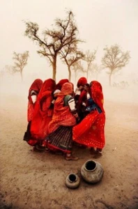 STEVE MCCURRY - RAJASTHAN, INDIEN. 2021 Signed Limited Edition - EXC - Bild 1 von 1