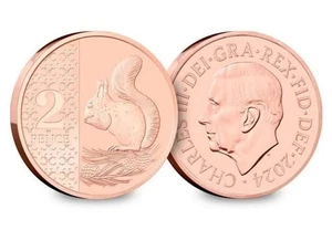 RARE NIFC 2024 KING CHARLES III UNC RED SQUIRREL 2p COIN. TUE - Picture 1 of 9