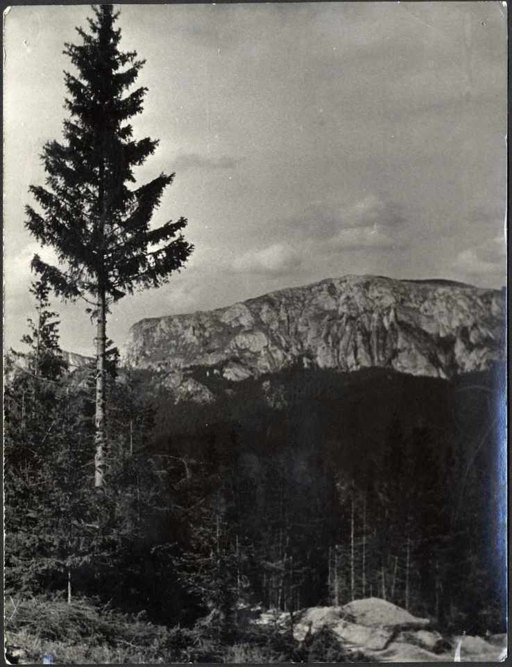 ROMANIA  1967 REAL FOTO NAGYHAGYMÁS HASMASUL MARE  large format - Image 1 of 1