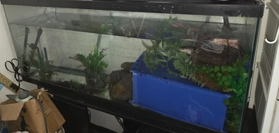 Acuario 75 galones (con soporte) Foto 1 de 2