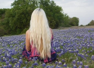 100 Texas Bluebonnet Seeds Flower Lupine Lupinus Texensis Perennial Wildflowers - Picture 1 of 5