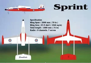 Boomerang Sprint V2 - Canada Snowbirds - Bild 1 von 3