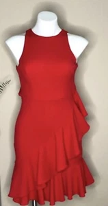 Gianni Bini Michelle A Walk in the Park Rüschenkleid hinten offen, Größe 10 - Bild 1 von 5