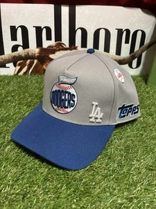 Los Angeles Dodgers Mitchell & Ness Pro-Pinch Fit Topps Gray Snapback MLB mit Pin - Bild 1 von 6