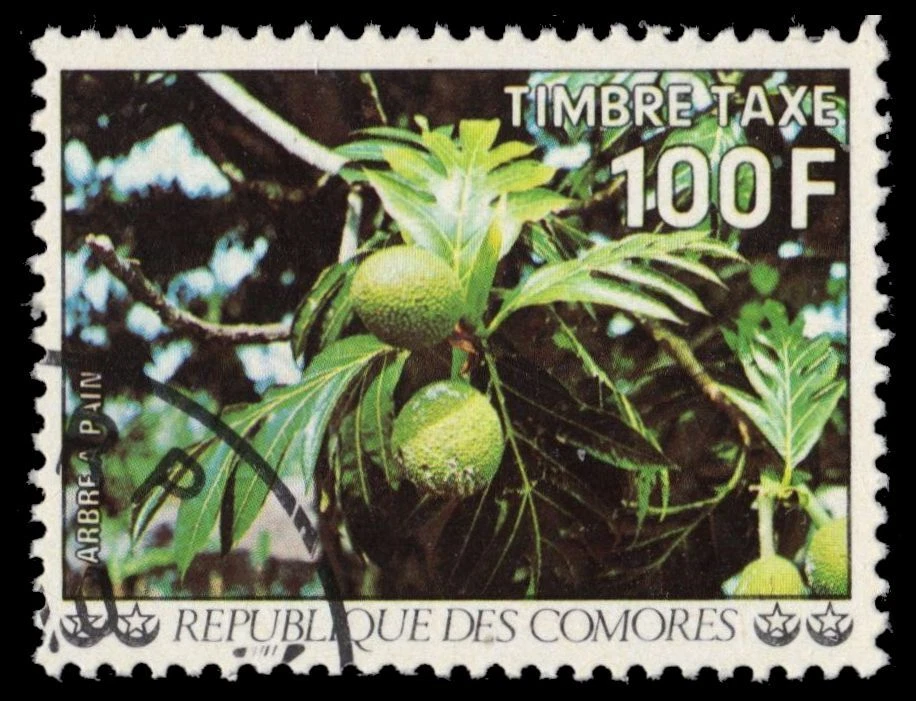 COMORO ISLANDS J15 - Fruta del pan "Postaje vencido" (pf45075) Foto 1 de 1