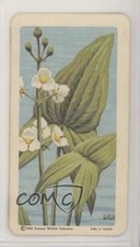 1961 Brooke Bond Red Rose Wild Flowers of North America Canadian Black Backs 2f4