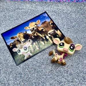 Hasbro LPS Littlest Pet Shop Paisley mucca con cartolina #1066 usato in ottime condizioni - Foto 1 di 6