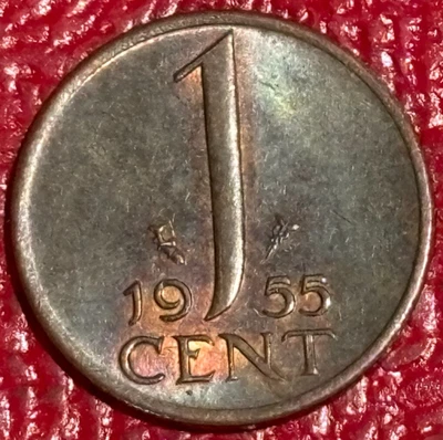 MONEDA DE 1 CENTAVO TÓNER PÚRPURA AU/UNC 1955 HOLANDA-JUL555 Foto 1 de 2