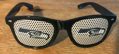 SEATTLE SEAHAWKS Retro Sunglasses ~ NFL football Beachfarer / Wayfarer Style Cover