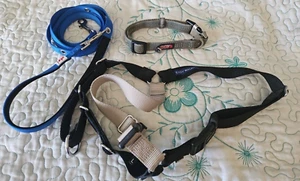 Kong Nylon Large Dog Collar With Metal Buckle, Nylon Leash, Easy Walk Harness - Picture 1 of 7