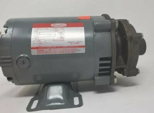 Dayton Teel geschlossen gekoppelte Radialpumpe 1/3 PS 6K578 - Bild 1 von 3