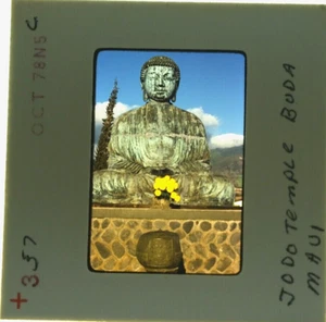 Maui Hawaii 1978 Lahaina Jodo Mission Buddha Kodak Photograph Transparency slide - Picture 1 of 2