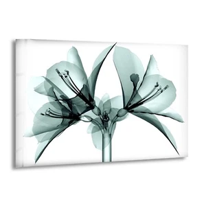 Arte de pared de vidrio con flores de rayos X - Imagen 1 de 9