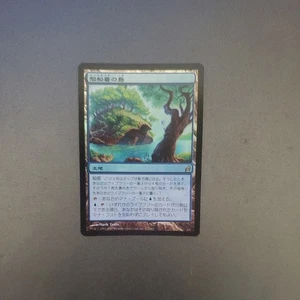 MTG Shell Island LRW Japanese Foil Card - Picture 1 of 1