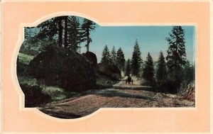 c1907 Cavallo e Passeggino da Viaggio Oregon? Cartolina Gel Strada di Campagna K277 - Foto 1 di 2
