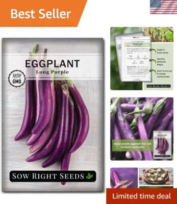 Semillas largas de berenjena púrpura reliquia no transgénica 400 mg huerto al aire libre Foto 1 de 4