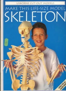 Make This Life-Size Model Skeleton - Picture 1 of 1