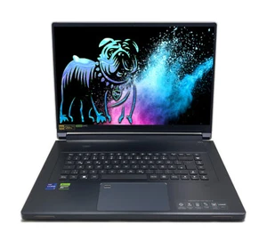 Acer Predator Triton 17X 17" WQXGA 250Hz FALD i9-13900HX 32GB 2TB RTX4090 G-Sync - Afbeelding 1 van 4