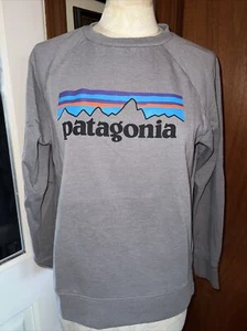 Patagonia Logo Lightweight Crew Sweatshirt Girl’s Gray Rare!!! Size L GUC - Picture 1 of 12