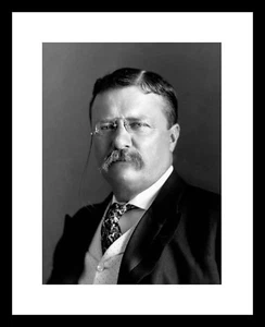 President THEODORE ROOSEVELT 8x10 Photo Print in Suit TR Teddy Rough Riders - Picture 1 of 2