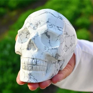 Statua cristallo quarzo reiki intagliato teschio howlite naturale 4'' decorazione regalo guarigione 1 pz - Foto 1 di 10