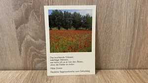 Postkarte HILDE DOMIN Geburtstagskarte Herzliche Segenswünsche Serie 617 Kiefel - Bild 1 von 2