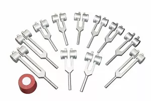Radical 11 Planetary Weighted Tuning forks with Activator and Pouch for Astro... - Picture 1 of 1